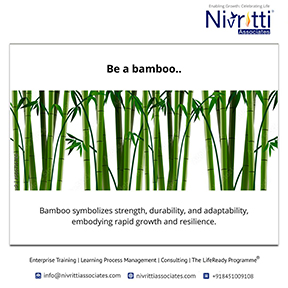 Be a Bamboo May 2024 Flyer